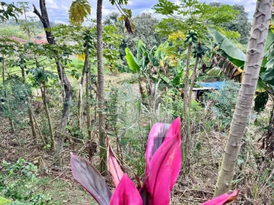 Lote/Terreno à venda, 397m² no Jardim Sorirama (Sousas), Campinas