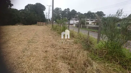 Lote/Terreno à venda, 36000m² no Campo Largo da Roseira, São José dos Pinhais