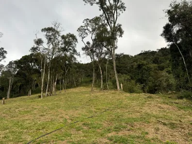 Lote/Terreno à venda, 20000m² no , Rio Rufino