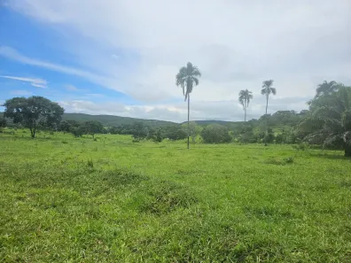 Fazenda/Sítio à venda, 822800000m² no , Jandaia