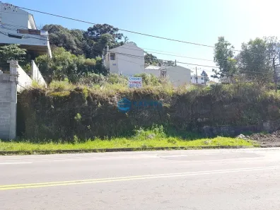 Lote/Terreno à venda, 360m² no São Caetano, Caxias do Sul