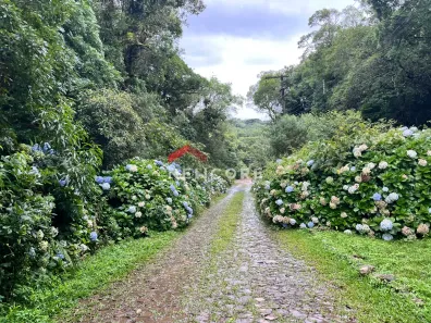 Lote/Terreno à venda, 600m² no Centro, São Francisco de Paula