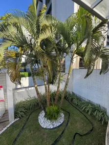 Apartamento com 4 Quartos à venda, 20m² no Tirol, Natal