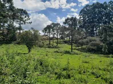 Fazenda/Sítio à venda, 90000m² no , Rio Rufino