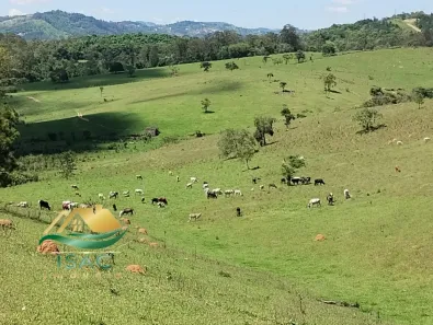 Lote/Terreno à venda, 1204m² no Jardim Estância Brasil, Atibaia