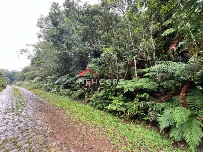 Lote/Terreno à venda, 600m² no Centro, São Francisco de Paula