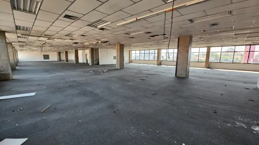 Sala Comercial para alugar, 6500m² no Vila Arapuã, São Paulo