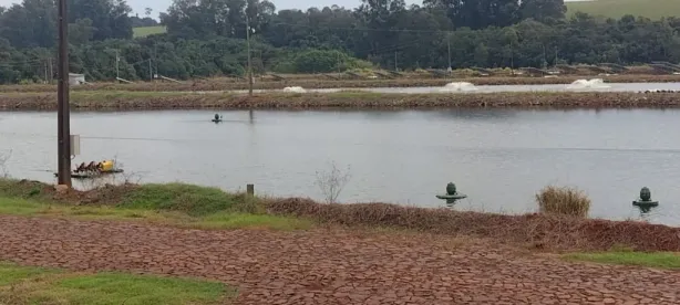 Fazenda/Sítio à venda, 273460m² no , Nova Santa Rosa