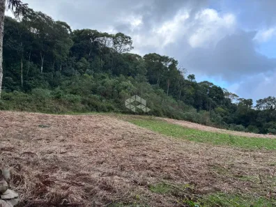 Lote/Terreno à venda, 113000m² no , Carlos Barbosa