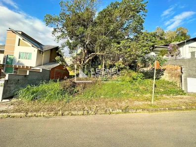 Lote/Terreno à venda, 687m² no Quintino, Timbó