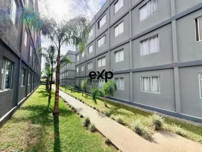 Apartamento com 3 Quartos à venda, 60m² no Pedro Moro, São José dos Pinhais
