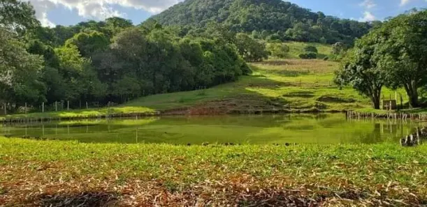 Fazenda/Sítio com 3 Quartos à venda, 160m² no , Bofete
