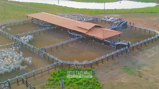 Fazenda/Sítio à venda, 68720000m² no Área Rural de Tucuruí, Tucuruí