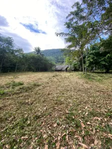 Lote/Terreno à venda, 4500m² no Tabatinga, Caraguatatuba