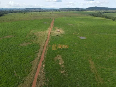 Fazenda/Sítio à venda, 66360000m² no , São Félix do Xingu