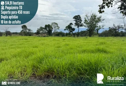 Fazenda/Sítio à venda, 514m² no , Pequizeiro