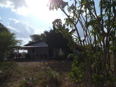Fazenda/Sítio com 5 Quartos à venda, 250m² no , Passira
