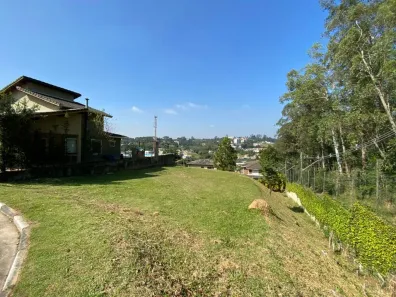 Lote/Terreno à venda, 560m² no Pitas, Cotia