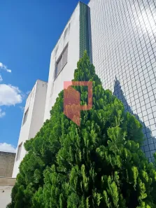 Apartamento com 2 Quartos à venda, 55m² no Jardim Leblon, Belo Horizonte
