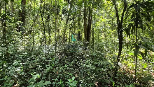 Fazenda/Sítio à venda, 2m² no Engenheiro Passos, Resende