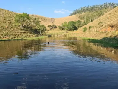Fazenda/Sítio à venda, 366604m² no Área Rural de São José dos Campos, São José dos Campos