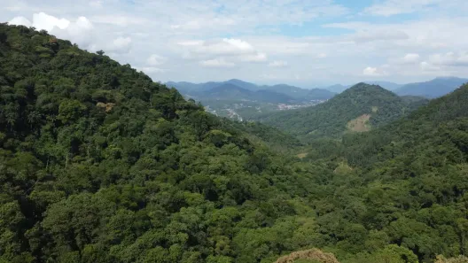 Fazenda/Sítio à venda, 110661m² no Testo Rega, Pomerode