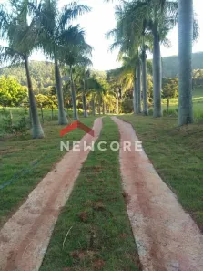 Fazenda/Sítio com 5 Quartos à venda, 37000m² no Bairro da Ponte, Itatiba