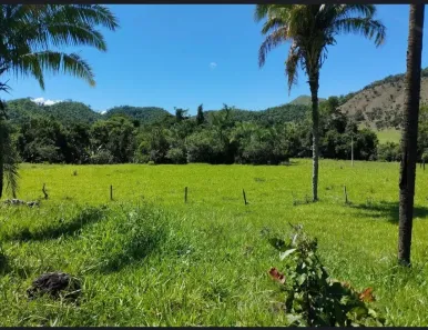 Fazenda/Sítio à venda, 770000m² no , Cavalcante