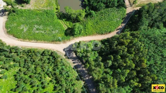 Fazenda/Sítio com 1 Quarto à venda, 5000m² no Pinhal Alto, Nova Petrópolis