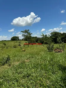 Fazenda/Sítio com 3 Quartos à venda, 200m² no Vila Grimpas, Hidrolândia