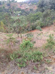 Lote/Terreno à venda, 1000m² no Alto da Boa Vista, Campos do Jordão