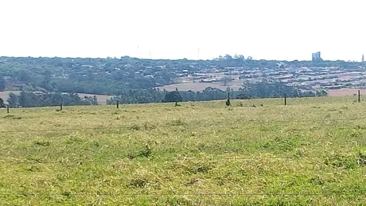 Fazenda/Sítio à venda, 96800m² no , Santa Fé