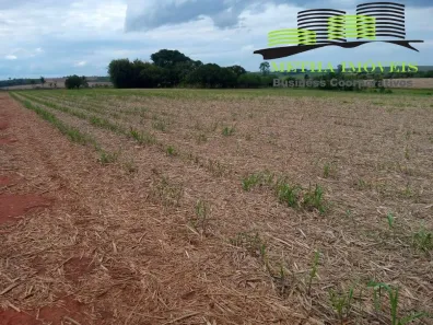 Fazenda/Sítio com 4 Quartos à venda, 27m² no Jardim Novo Aeroporto, Itapetininga