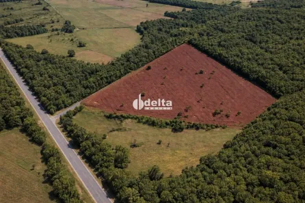 Lote/Terreno à venda, 100000m² no Parque das Andorinhas, Uberlândia