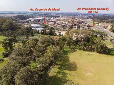 à venda, 71187m² no Colônia Dona Luíza, Ponta Grossa