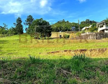 Lote/Terreno à venda, 1174m² no Linha 40, Caxias do Sul