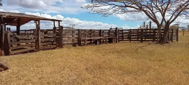 Fazenda/Sítio com 3 Quartos à venda, 1645600m² no Santa Rosa, Formosa