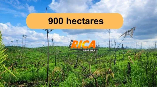 Fazenda/Sítio à venda, 9000000m² no Zona Rural, Apuí