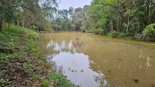 Fazenda/Sítio à venda, 40m² no Campestre da Faxina, São José dos Pinhais