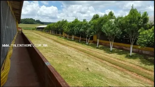 Lote/Terreno à venda, 6000m² no , Ouro Verde do Oeste