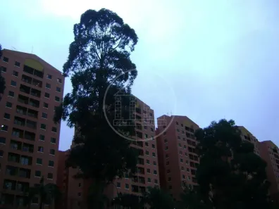 Apartamento com 3 Quartos à venda, 65m² no Vila do Castelo, São Paulo
