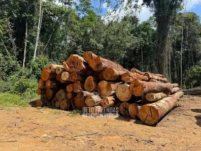 Fazenda/Sítio à venda, 230000000m² no Área Rural de Paragominas, Paragominas