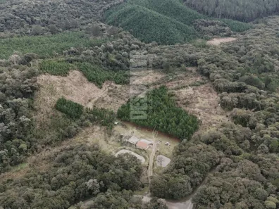 Fazenda/Sítio com 2 Quartos à venda, 48432m² no , Campo Alegre