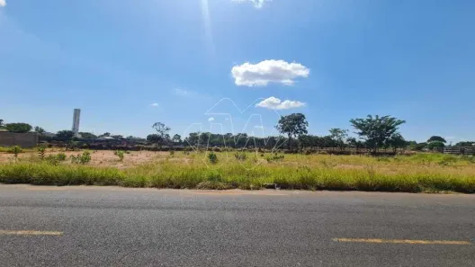 Lote/Terreno à venda, 557m² no Conjunto Habitacional Victório de Santi, Araraquara