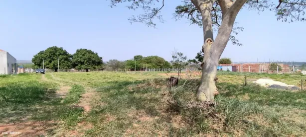 Fazenda/Sítio à venda, 1000m² no Álvares Machado, Álvares Machado