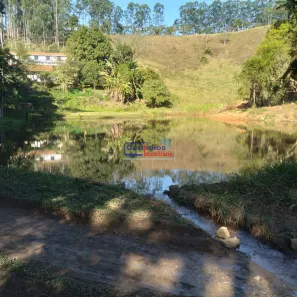 Fazenda/Sítio com 6 Quartos à venda, 236m² no , Lima Duarte