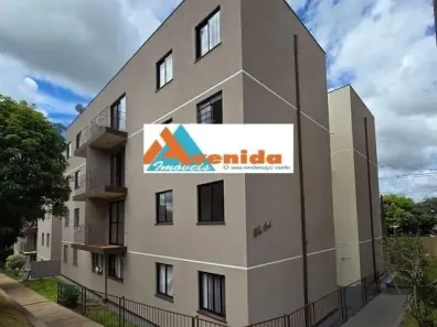 Apartamento com 3 Quartos para alugar, 60m² no Colônia Dona Luíza, Ponta Grossa