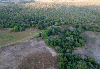 Fazenda/Sítio à venda, 1450000m² no Setor Central, Araguaçu