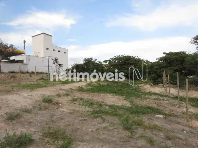 Lote/Terreno para alugar, 499m² no Tropical, Contagem