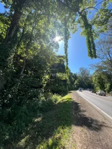 Lote/Terreno à venda, 46000m² no Pedancino, Caxias do Sul